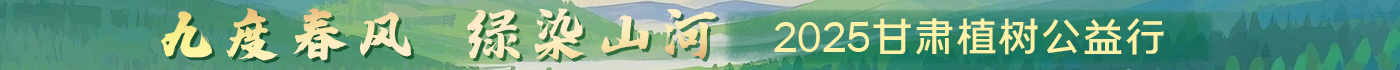 2025Cֲ乫